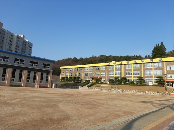 금광초등학교/=자료사진