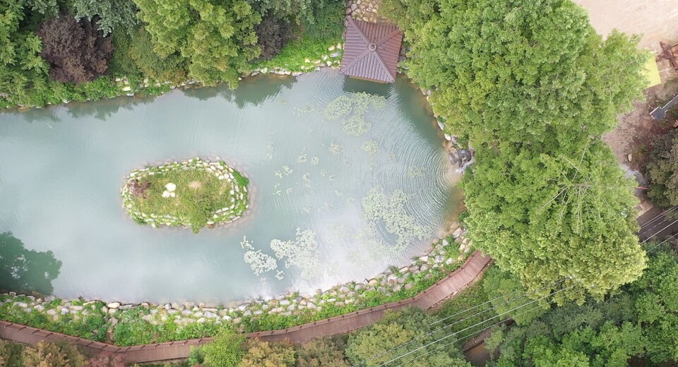 임실 성수산 왕의숲 생태관광지